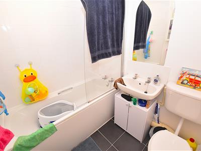 Picture 7